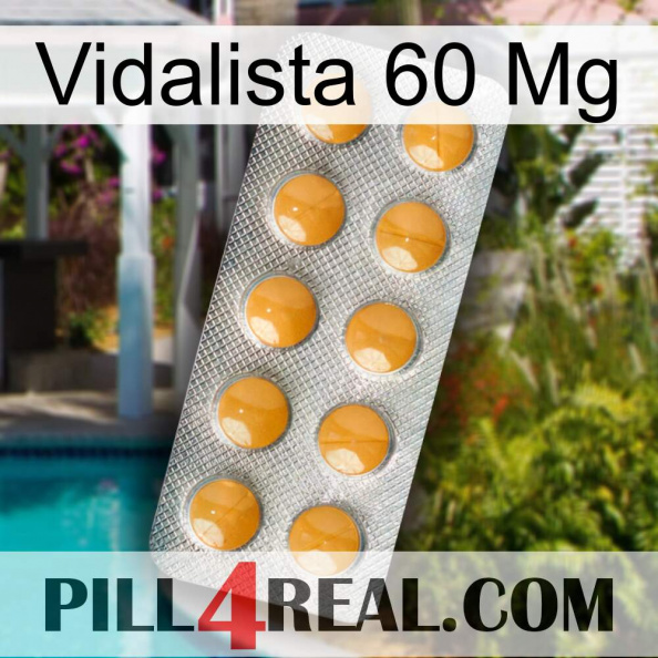 Vidalista 60 Mg levitra1.jpg